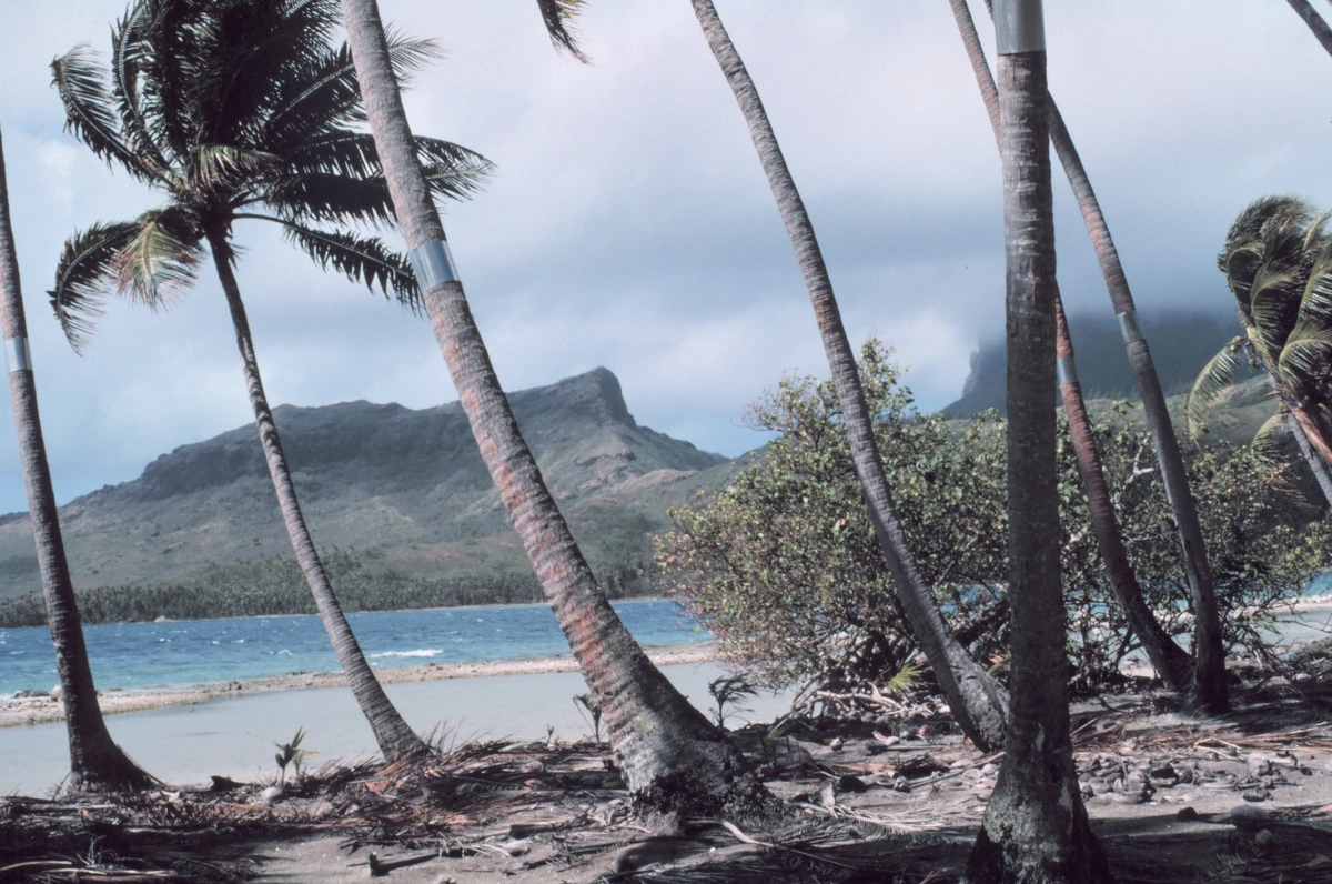 Palm-shaded white-sand motu beach used for the Polynesian picnic lunch on the Rohivai full day lagoon safari, Bora Bora